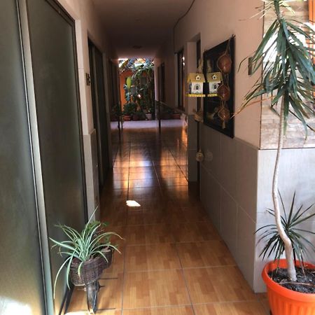 Apartmán Casa Alejandra Antofagasta Exteriér fotografie